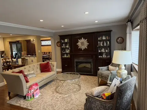 Living room with dark built-ins and a fireplace